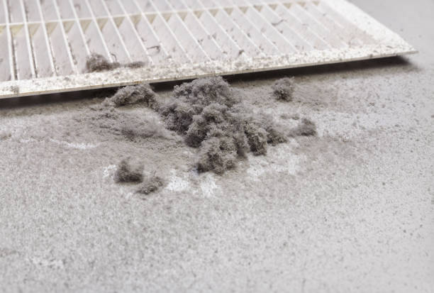 Best Affordable Air Duct Cleaning  in Colony Rk, PA