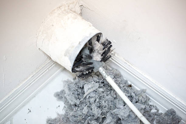 Best Professional Duct Cleaning Services  in Colony Rk, PA